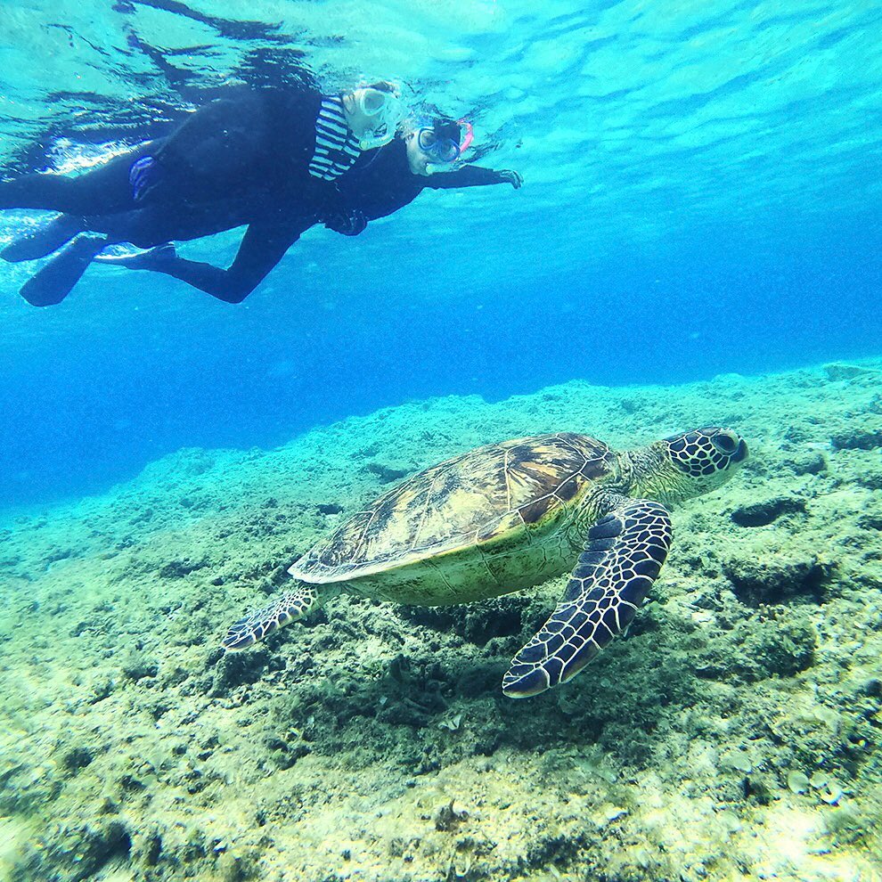 3 Summer Must-Dos in Amami-Oshima