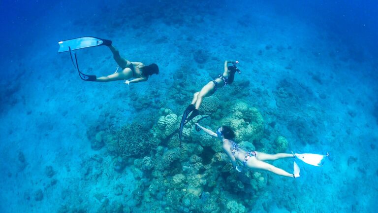 3 Must-Try Outdoor Activities on Amami Oshima