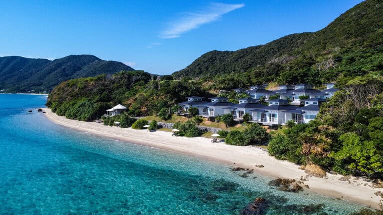 2024年5月7日～2024年10月31日までの先行販売について