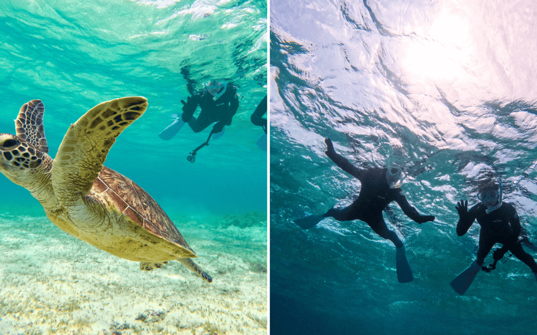 Fun-Filled Rainy Day Activities and Things To do in Amami Oshima