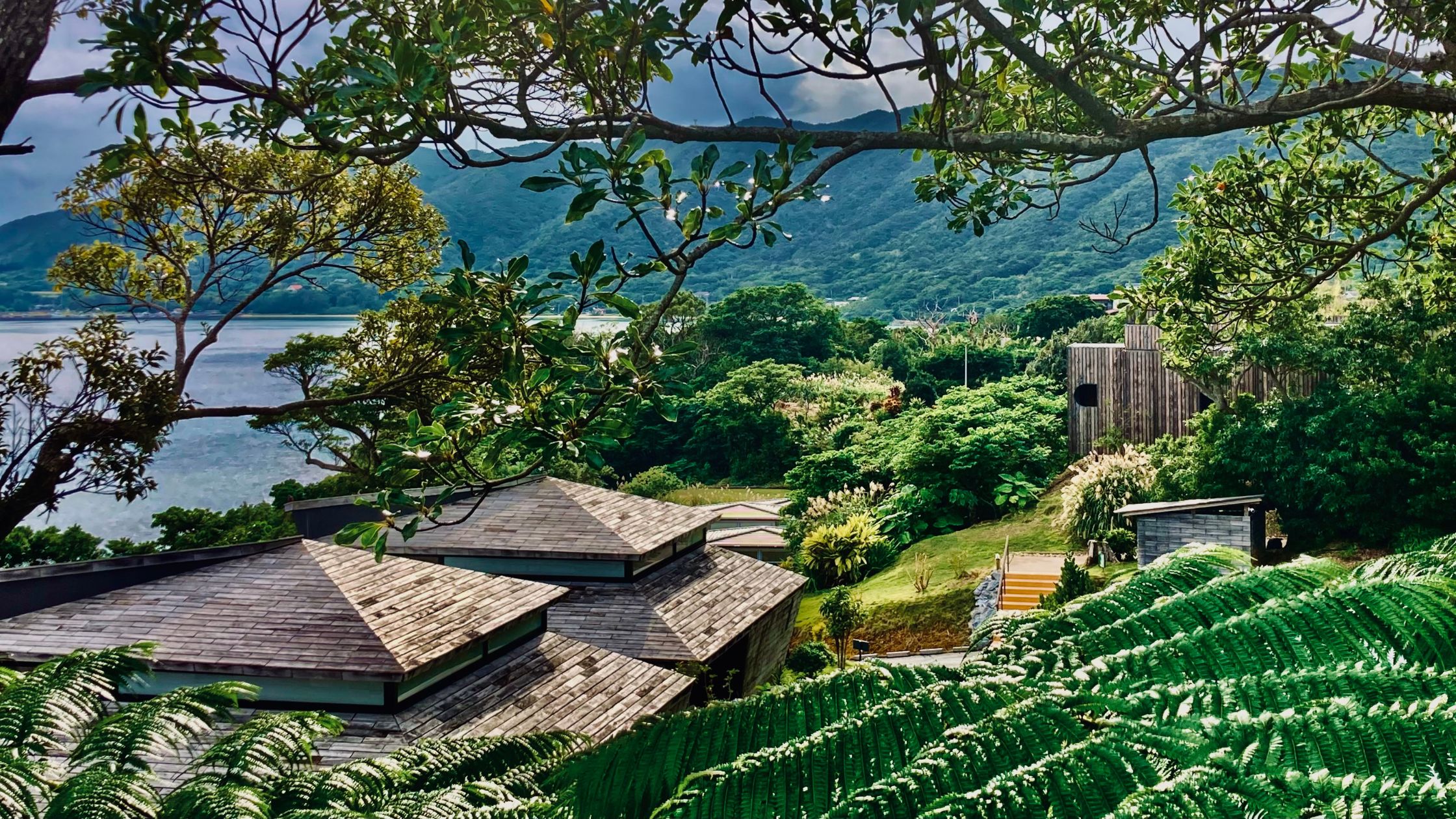 忘れられない春の旅へ：Miru Amamiで季節の恵みを発見