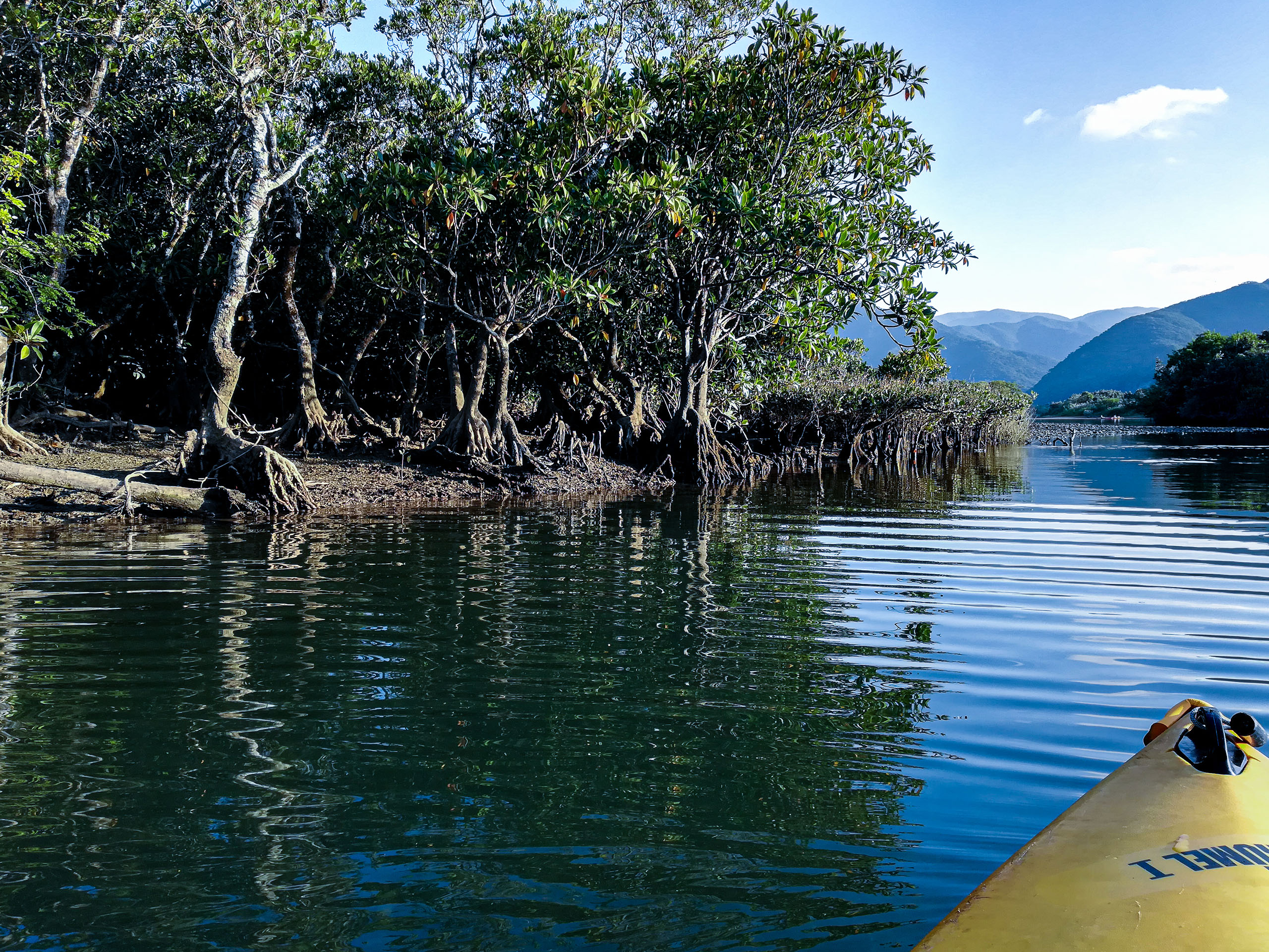 Amami Kinsakubaru Tour with Mangrove Kayak