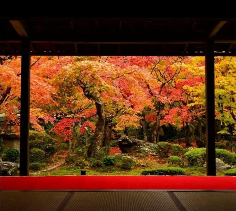 Autumn in Kyoto: A Golden Paradise