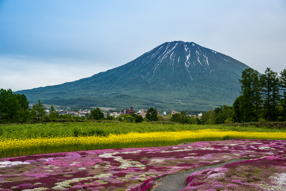 Niseko in Bloom: A Golden Week Retreat at Miru Niseko and Miru Nozomi Views