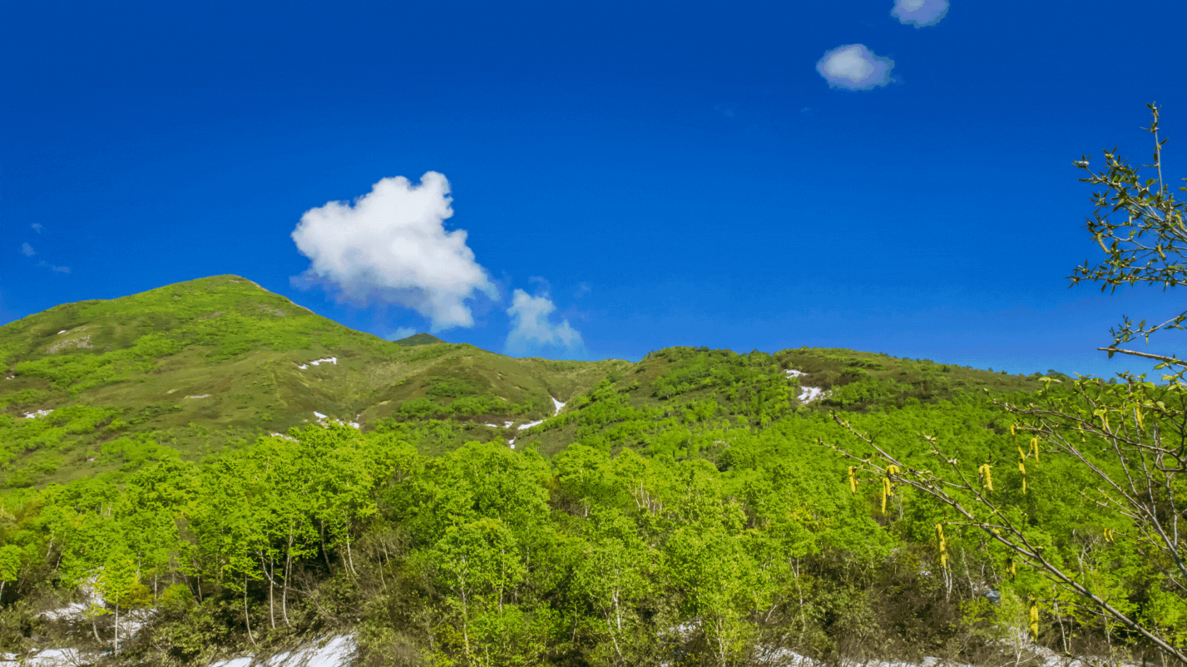 Your Ultimate Niseko Adventure Awaits – Must-Try Activities for an Unforgettable Summer