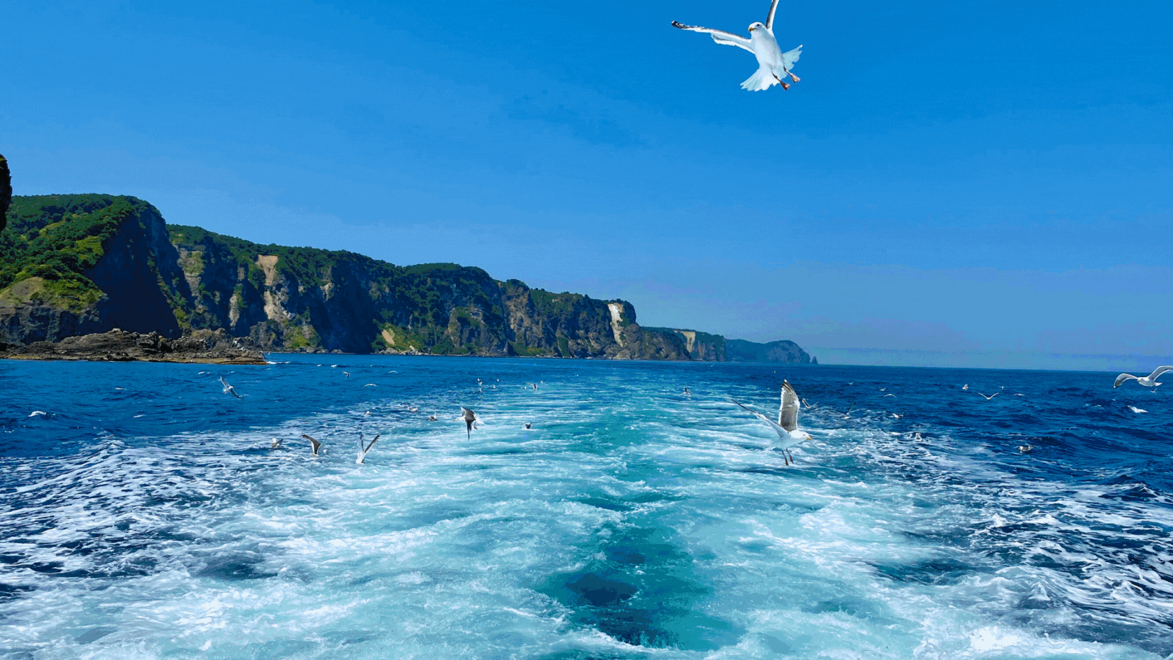 Embracing the Splendors of Niseko’s Summer: Festivities, Flavors, and Culture