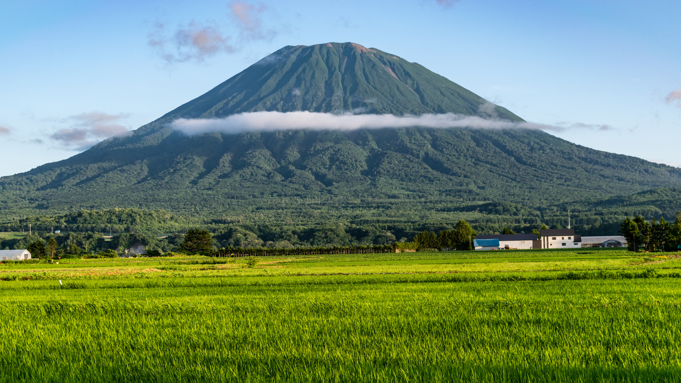 ニセコの夏の魅力をご紹介：冒険、文化、そして美食を満喫する３日間の旅