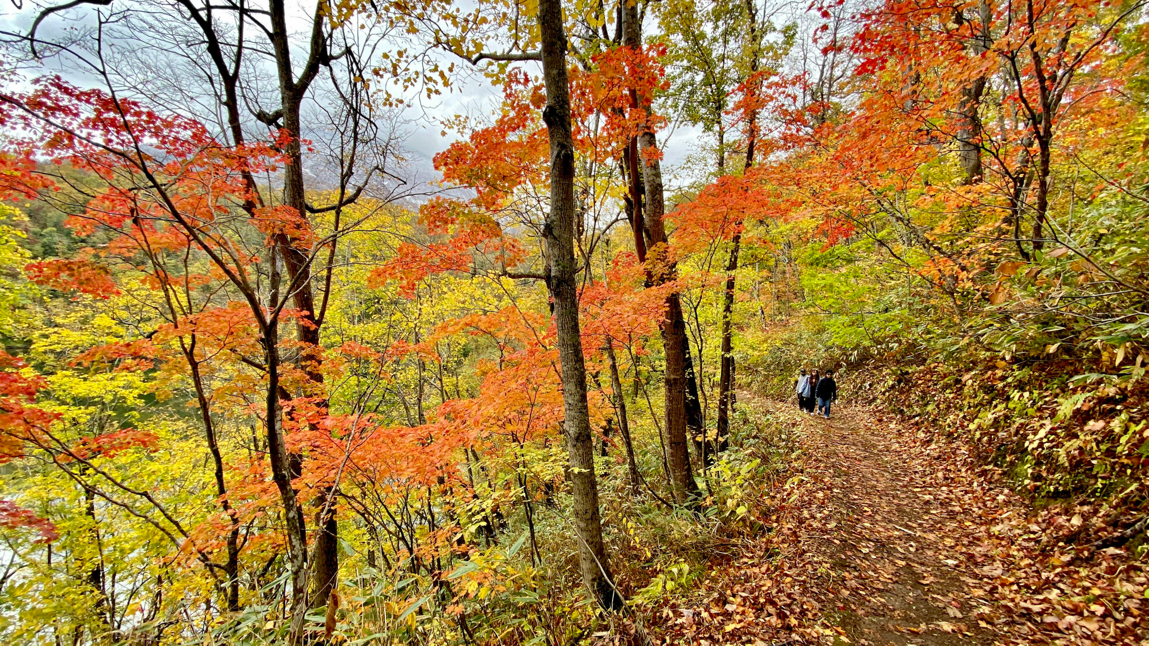ニセコで紅葉が楽しめるおすすめのスポット