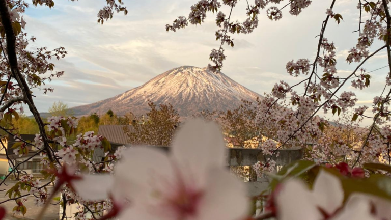 Niseko in Spring: A Nature Lover’s Paradise