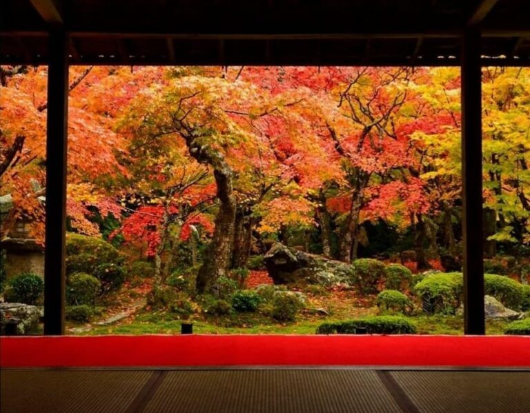 Autumn In Kyoto: A Golden Paradise