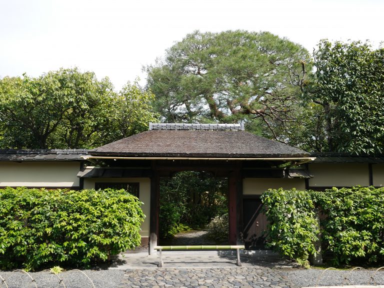 The Best Tea Experiences in Kyoto: A Complete Guide 2026