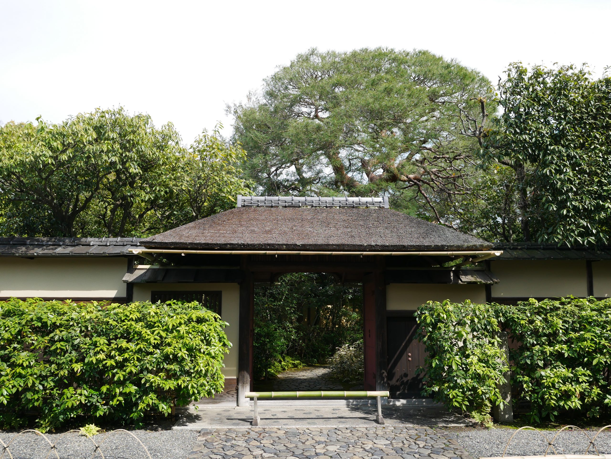 The Best Tea Experiences in Kyoto: A Complete Guide 2026