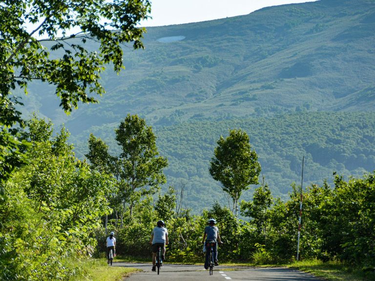 Niseko Summer Cycling 2026: Routes, Bike Parks & Where to Stay