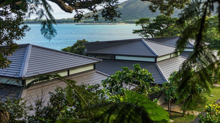 Amami Oshima Summer 2026: Marine Activities & Villas