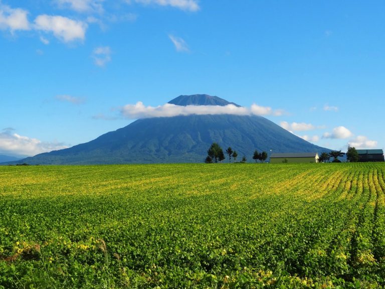 Niseko Summer 2026: Digital Detox, Nature Activities & Family Guide